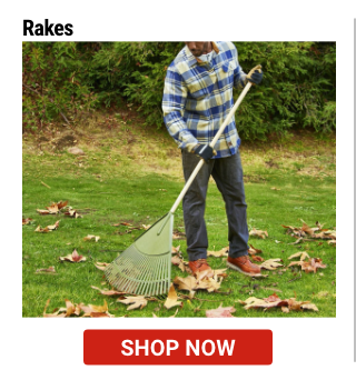 Shop Rakes