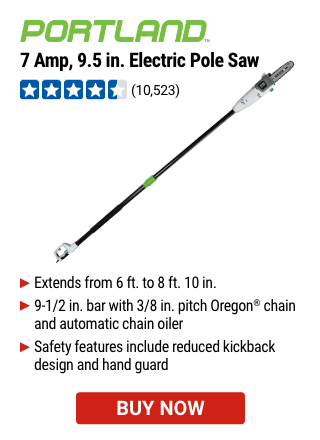 Portland: 7amp Electric Polesaw