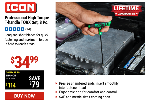 ICON: Professional High Torque T-Handle TORX Hex Key Set, 8 Pc.