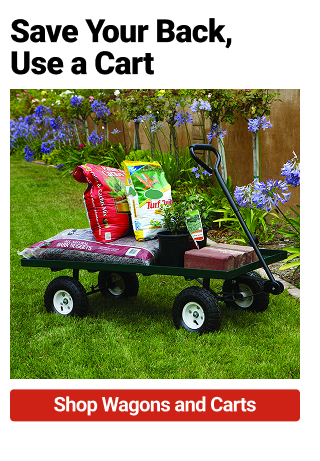 Shop Wagons and Cart >