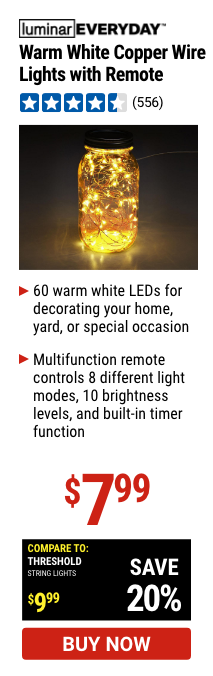 Warm White Copper Wire Lights with Remote