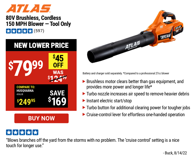 Atlas 40V Brushless Cordless 16 in. Chainsaw - Tool Only