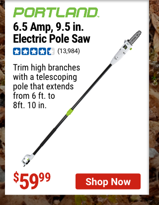 PORTLAND: 6.5 Amp 9.5 in. Electric Pole Saw