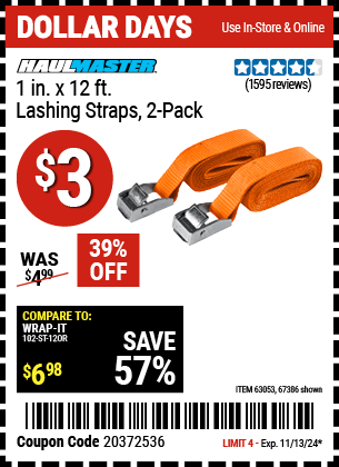 HAUL-MASTER: 1 in. x 12 ft. Lashing Straps 2 Pack