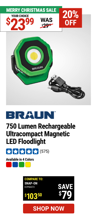 BRAUN: 750 Lumen Rechargeable Ultra-Compact Magnetic LED Floodlight, Green