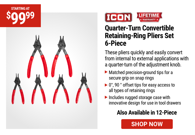 ICON: Quarter-Turn Convertible Retaining-Ring Pliers Set, 6-Piece