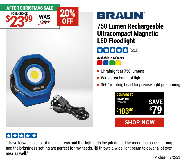 BRAUN: 750 Lumen Rechargeable Ultra-Compact Magnetic LED Floodlight, Blue