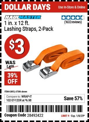 HAUL-MASTER 1 in. x 12 ft. Lashing Straps 2 Pack