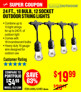 24 Ft. 12 Bulb Outdoor String Lights