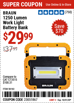 1250 Lumen Work Light Battery Bank