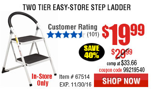 Two Tier Easy-Store Step Ladder