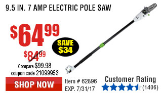9.5 In. 7 Amp Electric Pole Saw