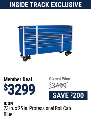73 in. x 25 in. Professional Roll Cab, Blue