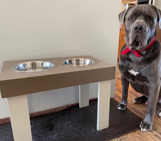 Raised Dog Feeding Station  DIY Build (Plans Available) 